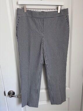 Ann Taylor Devin Fit Navy White Striped Ankle Pants 6P